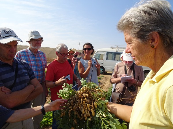 Angela Hoffmann erklärt den Besucherinnen und Besuchern von Oikocredit den Anbau von Winter- und Simmerfrüchten. Derzeit ist Erdnussernte.