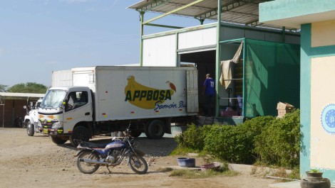 Lastwagen bei APPBOSA, Peru